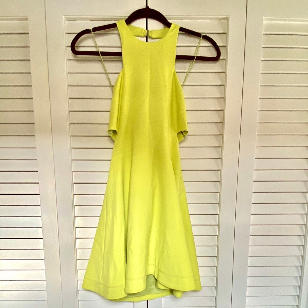 Elizabeth and James Darrien dress
